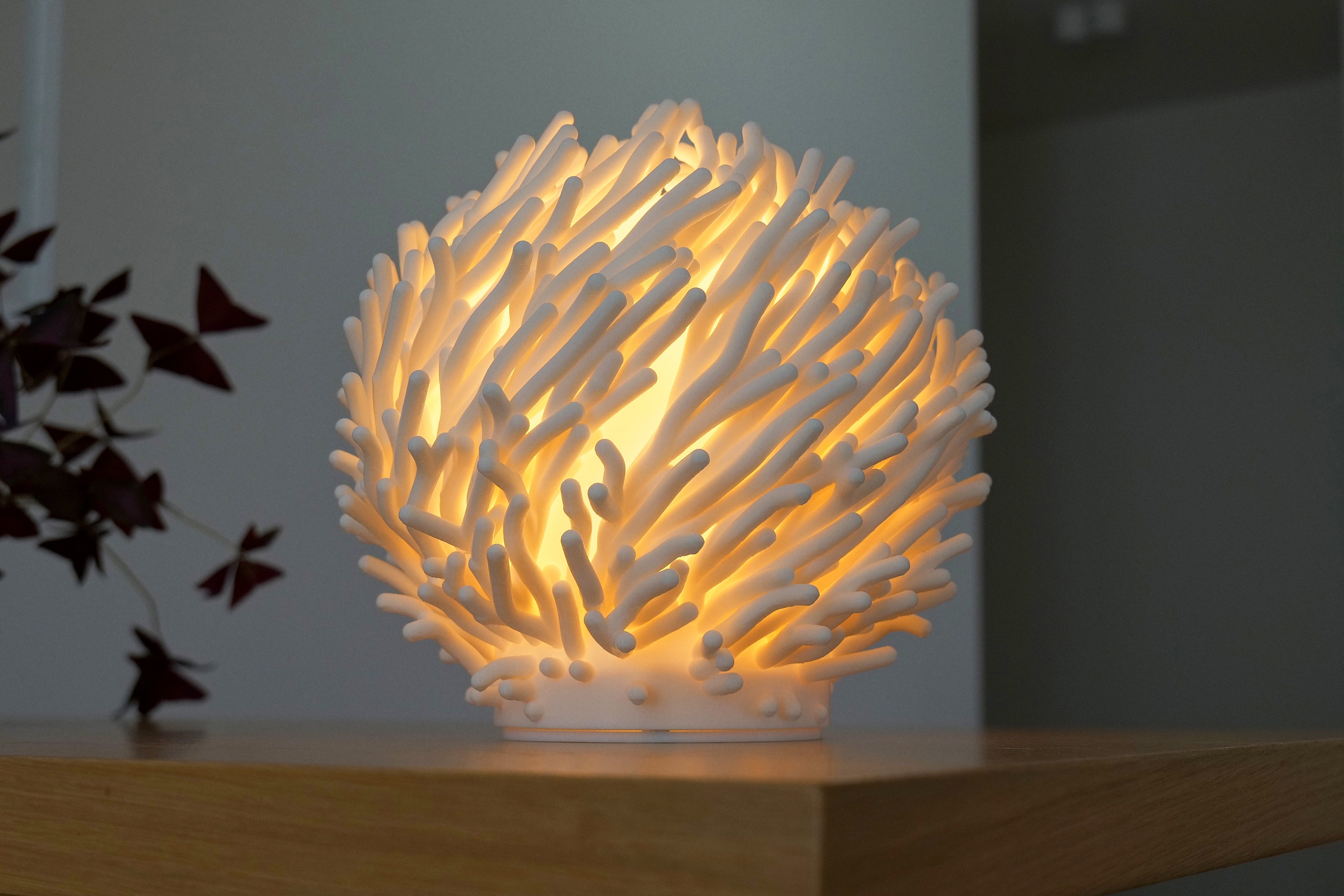 Coral Lamp
